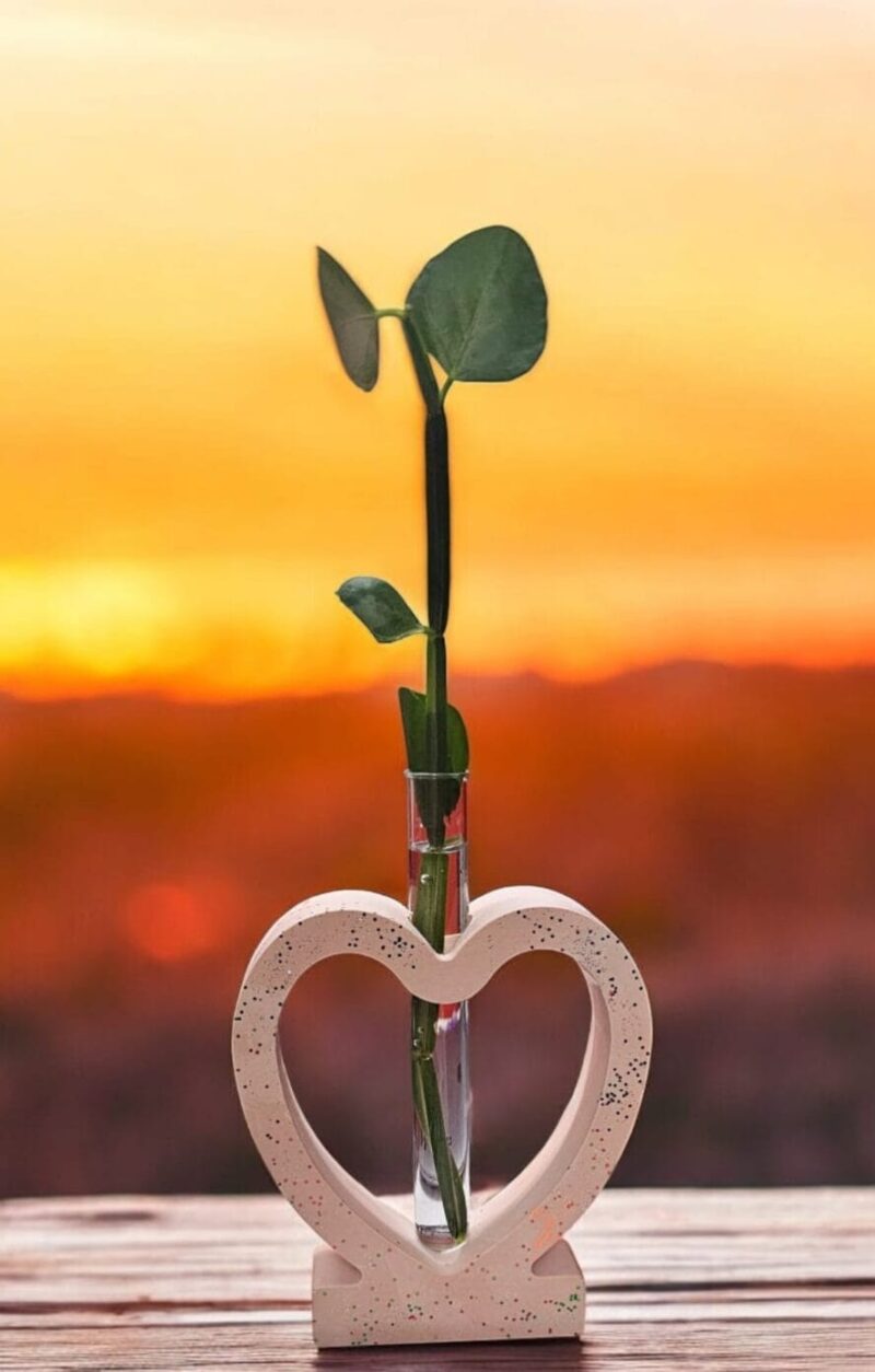 Heartfelt Concrete Planter